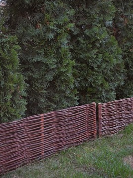 Плетеный частокол H20 - Плетеный забор L60