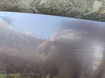 MITSUBISHI GRANDIS KAPOTA KRYT MOTORU