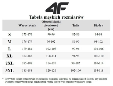 Męska bluza do szkoły 4F M0951 SS24 XL szary