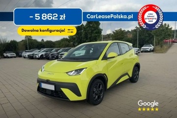 BYD 2025 BYD Dolphin Surf Od Reki Duzy rabat Atrakcyjne finansowanie Boost Nisk