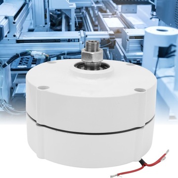 ALTERNATOR Z MAGNESAMI TRWŁYMI 300W 12V