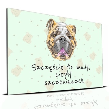 TABLICZKA ZIELONY 22X15CM BULDOG ANGIELSKI TO MAŁY CIEPŁY SZCZENIACZEK WZ
