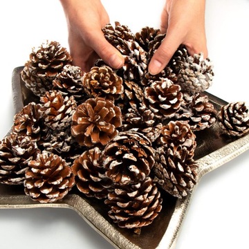 НАТУРАЛЬНЫЕ СОСНОВЫЕ ШИШКИ, ДЕКОРАТИВНОЕ СУЗ-ПЛАТЬЕ