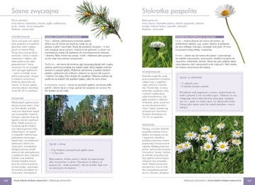 АТЛАС ДИКИХ Съедобных растений, 150 видов, Моника Фиёлек, твердый переплет