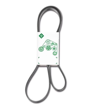 PASEK WIELOROWK. 7PK1035