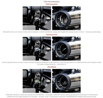 ГЛУШИТЕЛЬ KESSTECH ESE H-D FLSB 1750 ABS 2018-2020