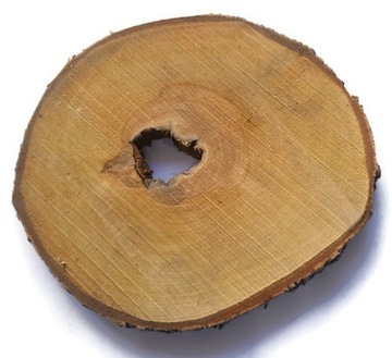 Plaster drewna brzoza pod żywicę lustro 28-33 cm krążek drewniany z otworem