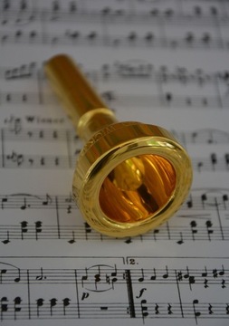 Денис Вик позолоченные экраны для Puzon/Euphonium - Size 4abl