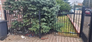ЗАБОР ЗАБОРЫ КОРОТКИ ЗЛЫЙ КОВОЙ ПРОлет