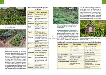 БИОДИНАМИЧЕСКИЙ КАЛЕНДАРЬ 2024 1/2024