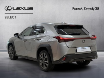 Lexus UX Crossover Facelifting 2.0 250h 184KM 2023 Lexus UX 250h GPF F Sport Design 2WD Lexus UX 250h, zdjęcie 8