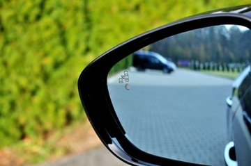 Citroen DS 2017 Citroen DS 2.0Hdi 180KM PERFORMANCE LINE Panorama, zdjęcie 31