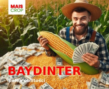 Семена Кукуруза Байдинтер ФАО 230-240 З/К 50 тыс.
