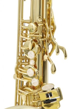 Тенор-саксофон ROY BENSON TS-302 Bb