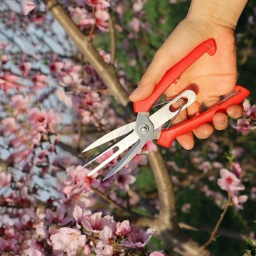 Сбор фруктов Precision Professional Non