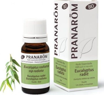 BIO olejek eteryczny EUKALIPTUSOWY Eukaliptus australijski / radiata 10 ml