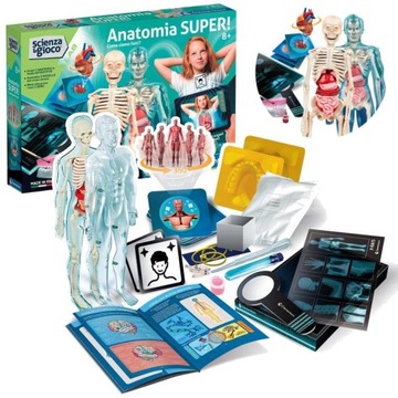 Super Anatomia laboratorium naukowe ciało człowieka szkielet Clementoni