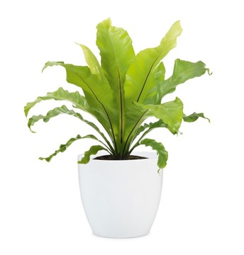 Duża biała osłonka na doniczkę Scheurich śr. 28 cm