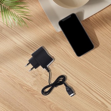 ДОРОЖНОЕ ЗАРЯДНОЕ УСТРОЙСТВО ДЛЯ GAMEBOY ADVANCE SP С ВИЛКОЙ EU (ЧЕРНЫЙ)