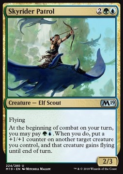 Skyrider Patrol - M19