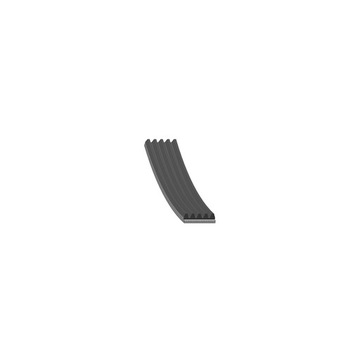 Pasek wielorowkowy FEBI 28824 5PK810