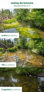 РЕМЕДИАНТ 5 КГ ЧИСТАЯ И ЗДОРОВАЯ ВОДА ДЛЯ ПРУДА