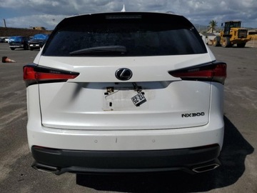 Lexus NX I 2020 Lexus NX 300 Base 2020 2.0L 2.0 Benzyna 235KM, zdjęcie 2