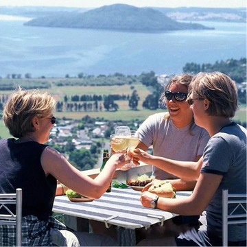 НАСТОЛЬНЫЙ ЗАЖИМ ЗАЖИМЫ ВЕТРОВАЯ ЗАЩИТА РУЧКИ НАСТОЛЬНОГО ЗАЖИМА 12x