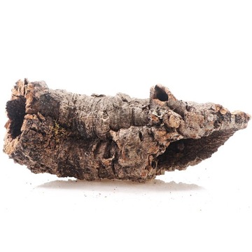 JEDYNA ODPORNA KORA NA WILGOĆ LAS W SŁOIKU SZKLE