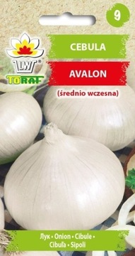 Cebula Avalon Średnio-Wczesna Nasiona 3g