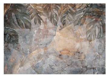 Fototapeta LIŚCIE MONSTERA BETON Imitacja 368x254