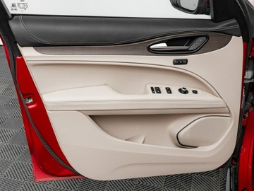 Alfa Romeo Stelvio SUV Facelifting 2.0 Turbo 280KM 2021 Alfa Romeo Stelvio WD1861S#2.0 Turbo 6C Villa, zdjęcie 11