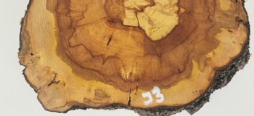 Ломтик яблока 40x40 см, дерево для стола из смолы