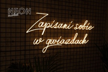 Zapisani sobie w gwiazdach napis LEDOWY LED Neon