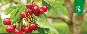 Флоровит универсальное садовое удобрение 20л.