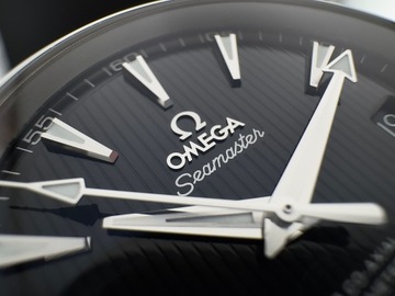 Omega Seamaster Aqua Terra 231.10.42.21.01.003