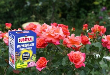 СУБСТРАЛЬНЫЙ САПРОЛ ЗАЩИТА TUI THUJA ROSES RODODENDRON FUNGIDE 0,1л