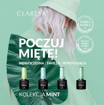 CLARESA МЯТА ГИБРИДНЫЙ ЛАК ДЛЯ НОГТЕЙ 02 5мл