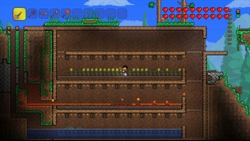 TERRARIA XBOX360
