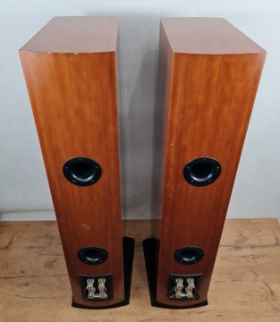 Dali Mentor 6 - колонки