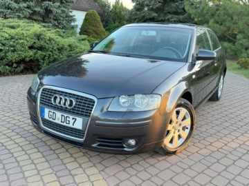 Audi A3 8P Hatchback 3d 1.6 102KM 2004 Audi A3 3-drzwiowe 1.6mpi 102KM Klima Alusy Grzane fotele Sprawdz 1.6, zdjęcie 37