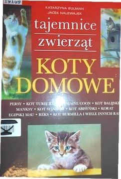 Koty domowe - Katarzyna Bulman