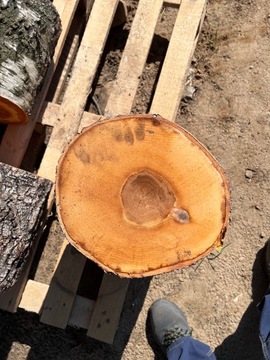 Сиденье для колышка основания культи для рубки пня