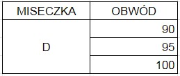 Biustonosz Usztywniany Koronkowy Bezszwowy Unoszący Zbierający 95D Czarny