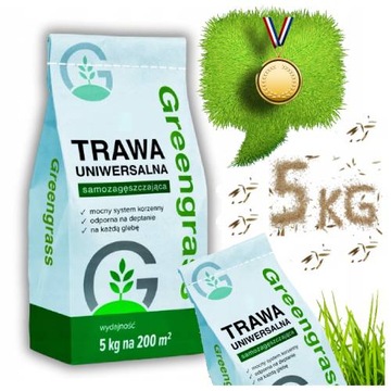 TRAWA UNIWERSALNA NASIONA ZAGĘSZCZAJĄCA MIESZANKA NA TRAWNIK 200m 5KG OGRÓD
