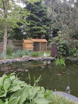 Курятник XL на 6-12 кур, доска сосна, ель, ель, утеплена круглый год