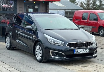 Kia Ceed II Hatchback 5d Facelifting 1.6 CRDi 110KM 2016 Kia Ceed 1.6CRDI 110KM LIFT Led Klimatronik Tempomat Stan Bdb Zarejestrowa, zdjęcie 14