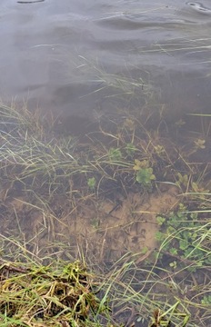 МЕЛ ДЛЯ ПРУДА И ВОДЫ 24кг