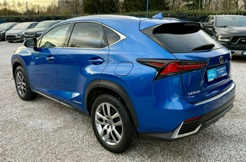 Lexus NX I 2020 Lexus NX 300h,Hybryda,4x4,Europa, zdjęcie 6