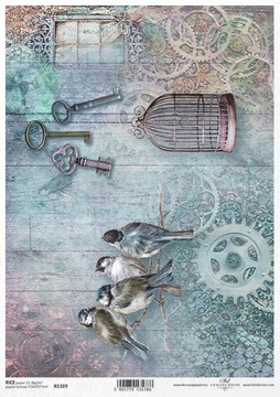 ITD Collection - Decoupage Papier RYŻOWY R1319 - PTAKI Vintage Steampunk A4